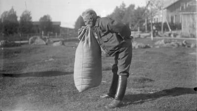 En man lyfter en stor tung säck med bara sina tänder. Bilden är tagen 1931 i Närpes, Kalaks.