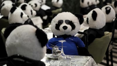 Leksakspandor sitter placerade runt bord med dukar och glas. Pandan i förgrunden har blå tröja, solglasögon.