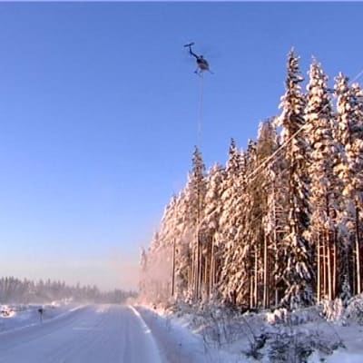 Alajärvellä sahattiin sähkölinjojen lähellä olevien puiden oksia helikopterin avulla 5. tammikuuta.