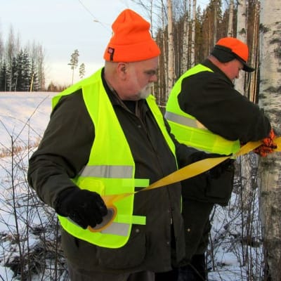 Miehet asettavat hirvinauhaa tienvarteen.