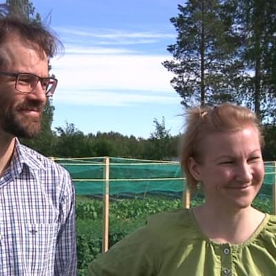 Arktiset soturit Ilkka Kauppinen ja Katja Misinkangas vievät Lapista yrttishotteja maailmalle.