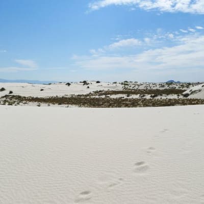 New Mexicon osavaltiossa sijaitseva White Sandsin aavikkoalue.