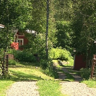 Kesämökin kesäinen pihamaa Tammelassa