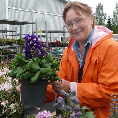 Puutarhuri Eila Kinnunen huolehtii myytävistä kukista