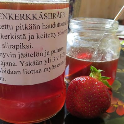 Kuusenkerkkäsiirappia purkissa.