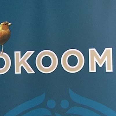 Kokoomuksen juliste.