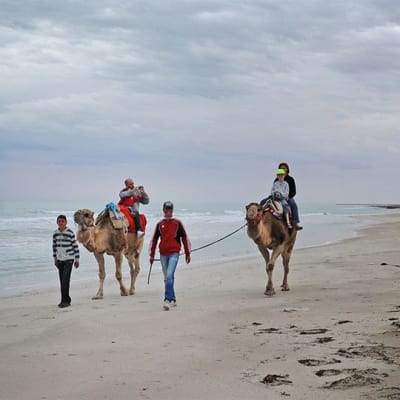 Turisteja kameliajelulla hiekkarannalla.