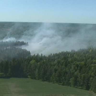 Vahdon maastopalossa metsää paloi noin 10 hehtaarin alueelta.