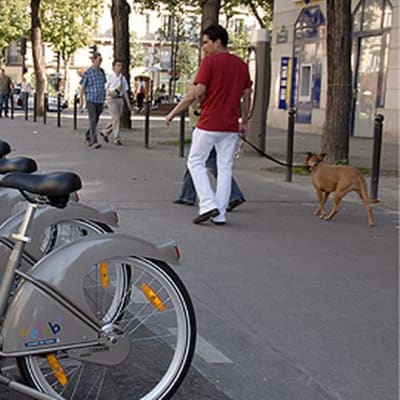 Kaupunkipyöriä telineessä pariisilaisella kadulla.