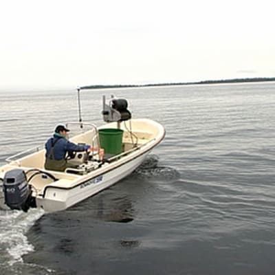 Kalastaja ajaa venettä Inarijärvellä.