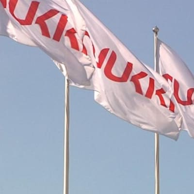 Ruukki Oy:n lippurivistö.