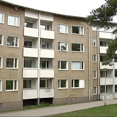 Siilitie 7:n pihapiiri.