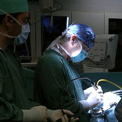 Neurokirurgi Juha Hernesniemi leikkaustiimeineen poistamassa potilaalta epämuodostunutta aivoverisuonta Töölön sairaalassa Helsingissä.