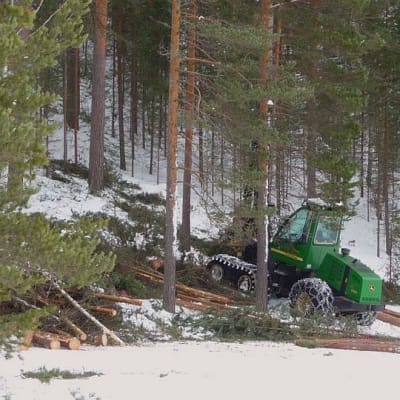 Metsäkone kansallimaisemaa hoitamassa Punkahajrulla.