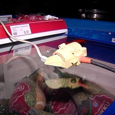 Eino-myrsky katkaisi sähköt Sumiaisissa, kaupassa saatiin virtaa pakasteisiin aggregaattien avulla.
