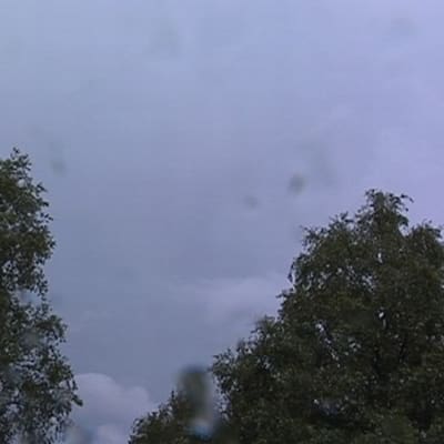 Ukkoskuuro Vantaalla kesällä 2011.
