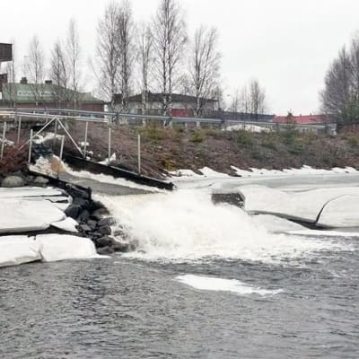 Pöyliöjärvi suoltaa pumppuaseman kautta vettä Kemijärveen