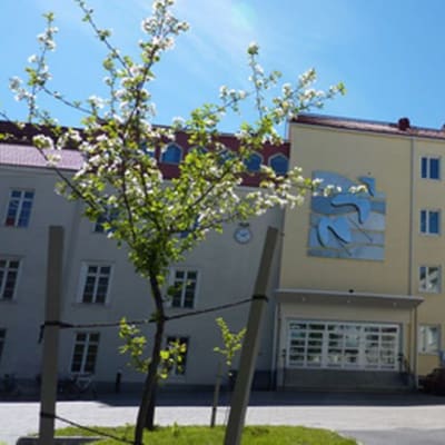 Tornion yhteislyseon lukio