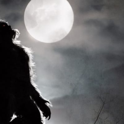 Game of Werewolves -elokuvan juliste