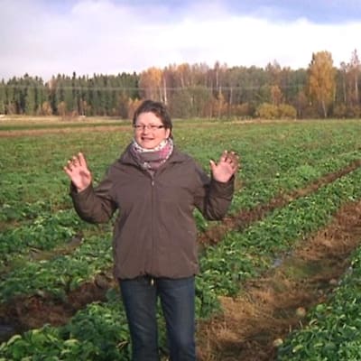 ProAgria Oulun puutarhatuotannonneuvoja Kirsti Voho ja marjanviljelijä Kalevi Hauhtonen seisovat Hauhtosen marjatilan mansikkapelolla Marinkaisissa.