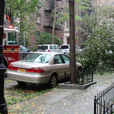 Katu New Yorkissa myrskyn jäljiltä. Paloauto. Kaatunut puu.