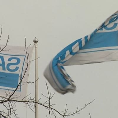Liput liehuvat Sandvikin Turun-tehtaalla.