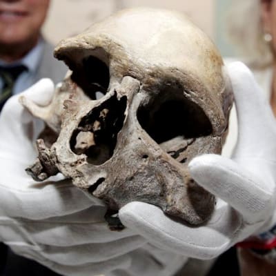 Saksalaiset tutkijat esittelevät kivikaudella eläneen miehen pääkalloa Bonnissa heinäkuussa 2009.