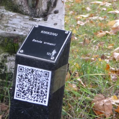 Lappeenrannan arboretumin puista saa lisätietoa mobiilisti.