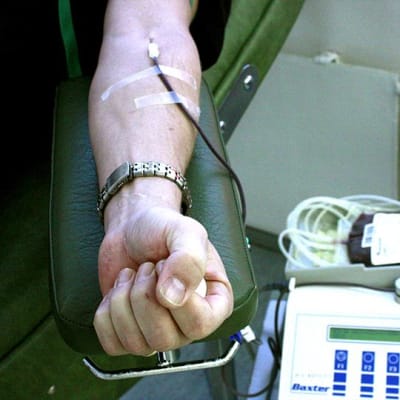 Verenluovuttajan käsivarsi, josta verta otetaan.