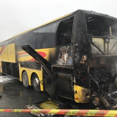bussipalo