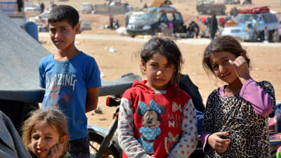 Syriska barn i ett flyktingläger i Hassakeh-provinsen