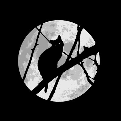 Katt på en trädgren om natten, med månen i bakgrunden.