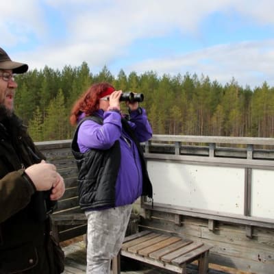 Luonto- ja ympäristöalan lehtori Juha Miettinen ja ympäristöhoitajaksi opiskeleva Riitta Hirvonen tähyilevät kosteikolla viihtyviä lintuja.