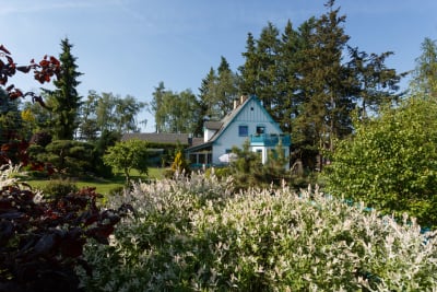 Ett småhus med en lummig trädgård.