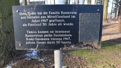 Skylt vid den finska granen som planterades vid jägarnas minnesmärke