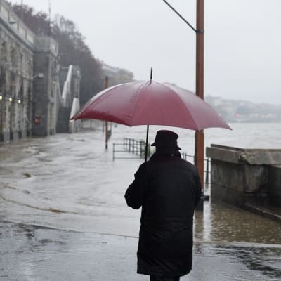 Mies kävelee punaisen sateenvarjon kanssa, Po-joki tulvii rannalle Italiassa.