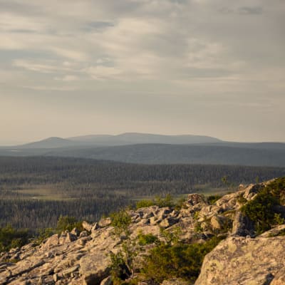 Etualalla tunturin kivirakkaa ja taustalla laajoja tuntureita.