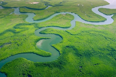 Amazonas regnskog fotograferad ovanifrån i Brasilien.