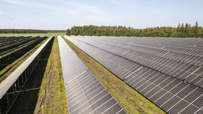 Aurinkopaneeleita aurinkopuistossa. Taustalla näkyy tuuliturbiineja. Solarigo Systems Oy:n aurinkopuisto Kalajoella Pohjois-Pohjanmaalla.