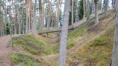framför en smal stig, bakom trappa och gångbro i skogsbacke