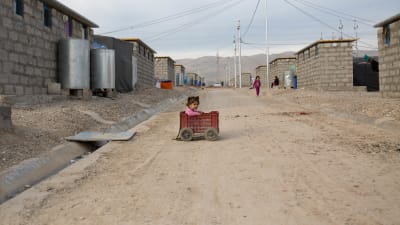 barn i kärra i irak