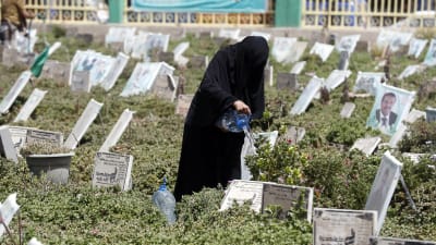 En krigsänka vattnar en grav vid en gravgård för stupade rebeller i huvudstaden Sana.