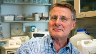 Kalle Saksela, professor i virologi vid Helsingfors universitet
