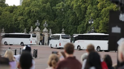 Tre vita bussar närmar sig porten till Buckingham Palace. I förgrunden syns människor som ser på.