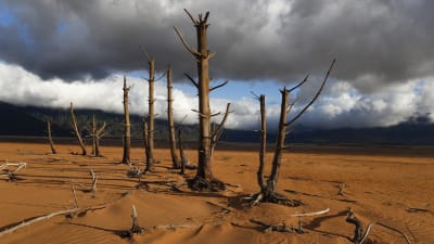 Theewaterskloofdam i Sydafrika som har torkat ut