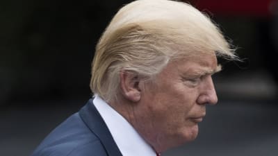 Donald Trump.
