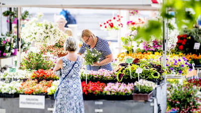 blomsterhandel på salutorget i åbo