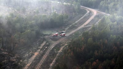 En skogsbrand rån ett helikopterperspektiv. På bilden syns en väg i en skog där brandrök sprids.