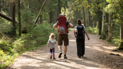 En familj med ryggsäckar på tur i skogen.