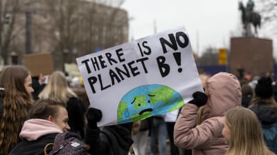 Klimatdemonstration utanför riksdagshuset.